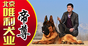 北京唯利犬业